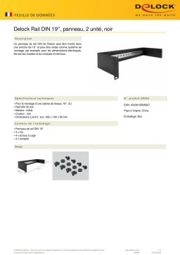 DeLOCK 66884 19″ DIN rail Panel 2U black Fiche technique