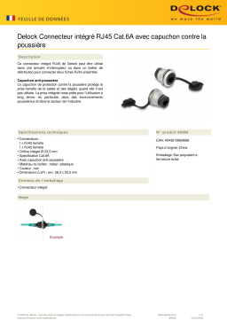 DeLOCK 86968 RJ45 Cat.6A built-in connector Fiche technique