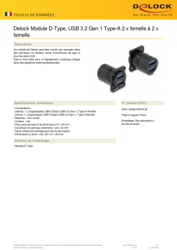 DeLOCK 87813 D-Type Module USB 3.2 Gen 1 Type-A 2 x female to 2 x female Fiche technique