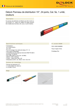 DeLOCK 66880 19″ Patch Panel 24 port Cat.5e 1U coloured Fiche technique