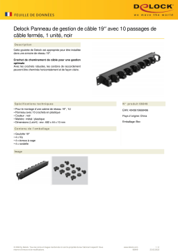 DeLOCK 66849 19″ Cable Management Routing Panel Fiche technique