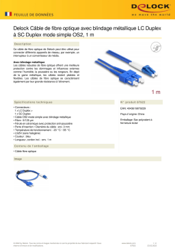 DeLOCK 87922 Fiber Optical Cable Fiche technique