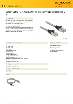 DeLOCK 80109 RJ45 Cable Cat.6A U/FTP Fiche technique