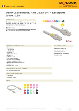 DeLOCK 80117 Network cable RJ45 Cat.6A S/FTP Fiche technique