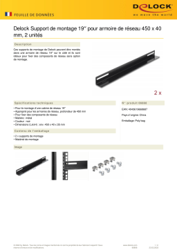 DeLOCK 66868 19″ Mounting Bracket for network cabinet 450 x 40 mm 2 pieces Fiche technique