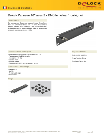 DeLOCK 66851 10″ Panel Fiche technique | Fixfr