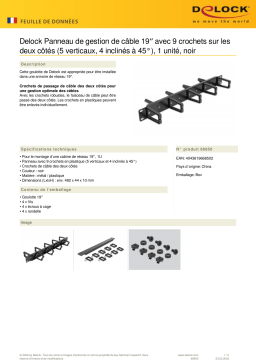 DeLOCK 66850 19″ Cable Management Routing Panel both sides Fiche technique