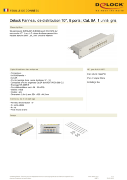 DeLOCK 66873 10″ Patch Panel 8 port Cat.6A 1U grey Fiche technique