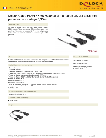 DeLOCK 87038 HDMI Cable 4K 60 Hz Fiche technique | Fixfr