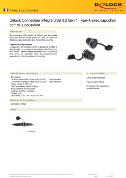 DeLOCK 86966 USB 3.2 Gen 1 Type-A built-in connector Fiche technique