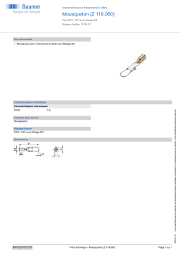 Baumer Snap hook (Z 119.060) Mounting cable transducer Fiche technique