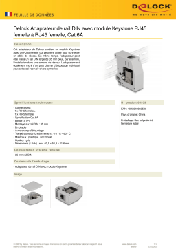 DeLOCK 86959 DIN rail Adapter Fiche technique