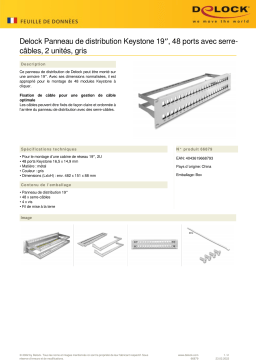 DeLOCK 66879 19″ Keystone Patch Panel 48 port Fiche technique