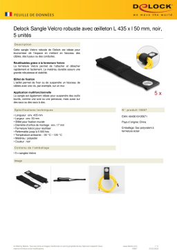 DeLOCK 19567 Heavy-duty Hook-and-loop strap Fiche technique