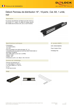 DeLOCK 66876 19″ Patch Panel 16 port Cat.6A 1U black Fiche technique