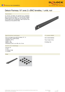 DeLOCK 66852 19″ Panel Fiche technique