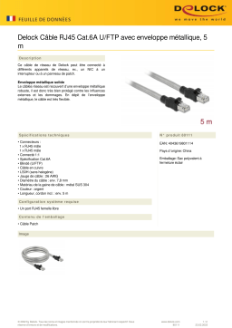 DeLOCK 80111 RJ45 Cable Cat.6A U/FTP Fiche technique