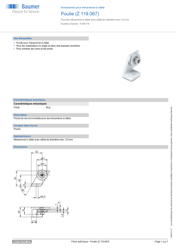 Baumer Idler pulley (Z 119.067) Mounting cable transducer Fiche technique