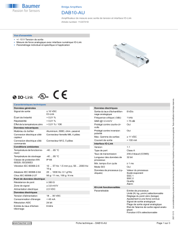 Baumer DAB10-AU Bridge Amplifier Fiche technique | Fixfr