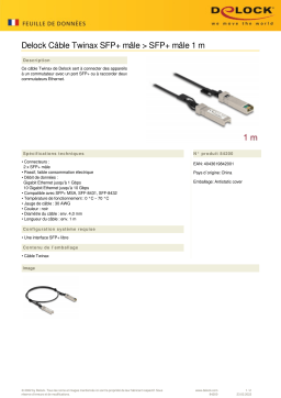 DeLOCK 84200 Cable Twinax SFP+ male to SFP+ male 1 m Fiche technique