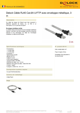 DeLOCK 80110 RJ45 Cable Cat.6A U/FTP Fiche technique