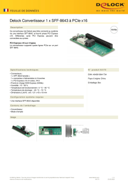 DeLOCK 64173 Converter 1 x SFF-8643 to PCIe x16 Fiche technique