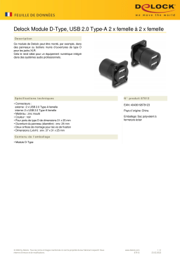 DeLOCK 87812 D-Type Module USB 2.0 Type-A 2 x female to 2 x female Fiche technique