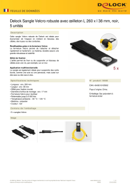 DeLOCK 19560 Heavy-duty Hook-and-loop strap Fiche technique