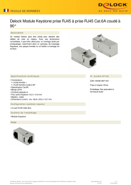 DeLOCK 87142 Keystone Module RJ45 jack to RJ45 jack Cat.6A 90° angled Fiche technique