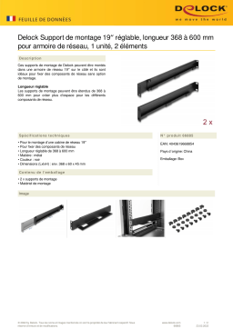 DeLOCK 66885 19″ Mounting bracket adjustable length 368 - 600 mm for network cabinet 1U 2 pieces Fiche technique