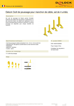 DeLOCK 20839 Pull-in tool for cable sleeve set 4 pieces Fiche technique