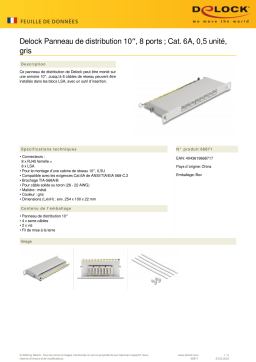 DeLOCK 66871 10″ Patch Panel 8 port Cat.6A 0.5U grey Fiche technique