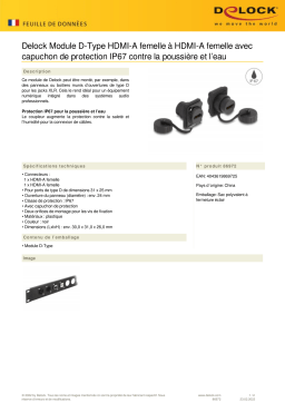 DeLOCK 86972 D-Type Module HDMI-A female to HDMI-A female Fiche technique