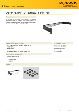 DeLOCK 66883 19″ DIN rail Panel 1U black Fiche technique