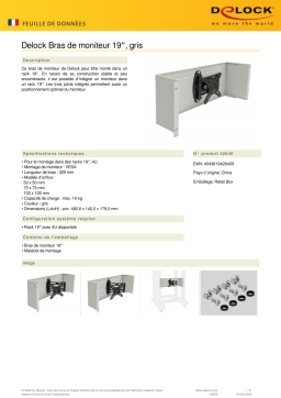 DeLOCK 42640 19″ Monitor Arm grey Fiche technique