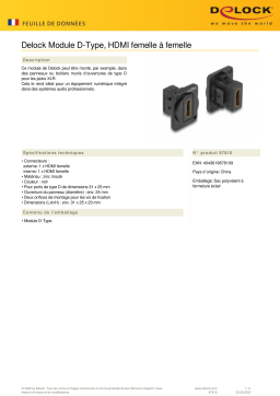 DeLOCK 87810 D-Type Module HDMI female to female Fiche technique