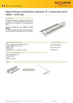 DeLOCK 66875 10″ Keystone Patch Panel 12 port Fiche technique