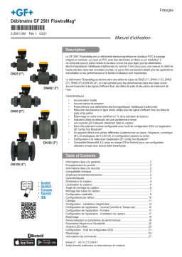 GF Débitmètre Signet Type 2581 FlowtraMag® Manuel du propriétaire