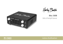 Harley Benton Block-300B Une information important
