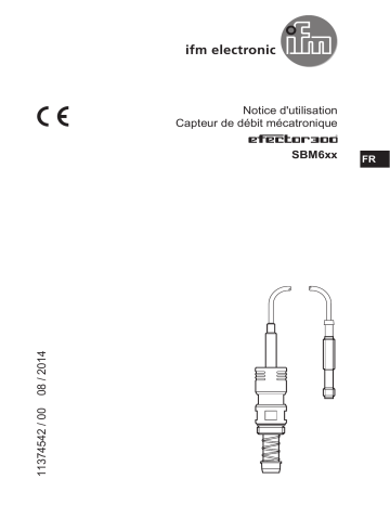 IFM SBM613 Measurement insert for flow transmitter Mode d'emploi | Fixfr