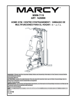 Impex MWM-7119 Manuel utilisateur