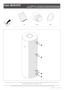 Riello 1” Nipples NPT – Stray current corrosion protection Installation manuel