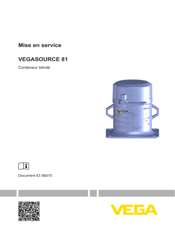 Vega VEGASOURCE 81  Mode d'emploi | Fixfr