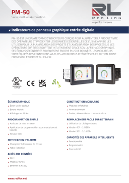 red lion PM Panel Meter Fiche technique