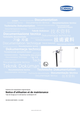 Schmalz  SEM-300-JU-SDA-STF-EX Multi-stage ejector (regulated)  Mode d'emploi