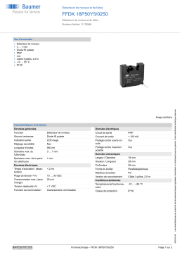 Baumer FFDK 16P50Y5/0250 Liquid level and leakage sensor Fiche technique