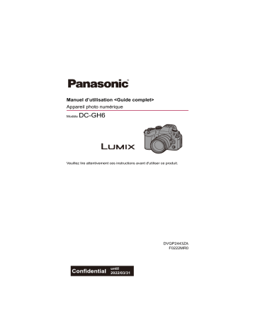 DCGH6E | Panasonic DCGH6PP Mode d'emploi | Fixfr