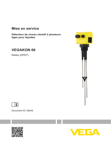 Vega VEGAKON 66 Conductive multiple rod limit switch for liquids Mode d'emploi | Fixfr