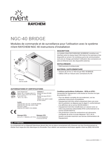 Raychem NGC-40 Bridge Installation manuel | Fixfr