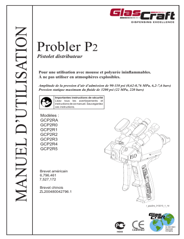 Graco 3A0472N - Probler P2 Mode d'emploi | Fixfr